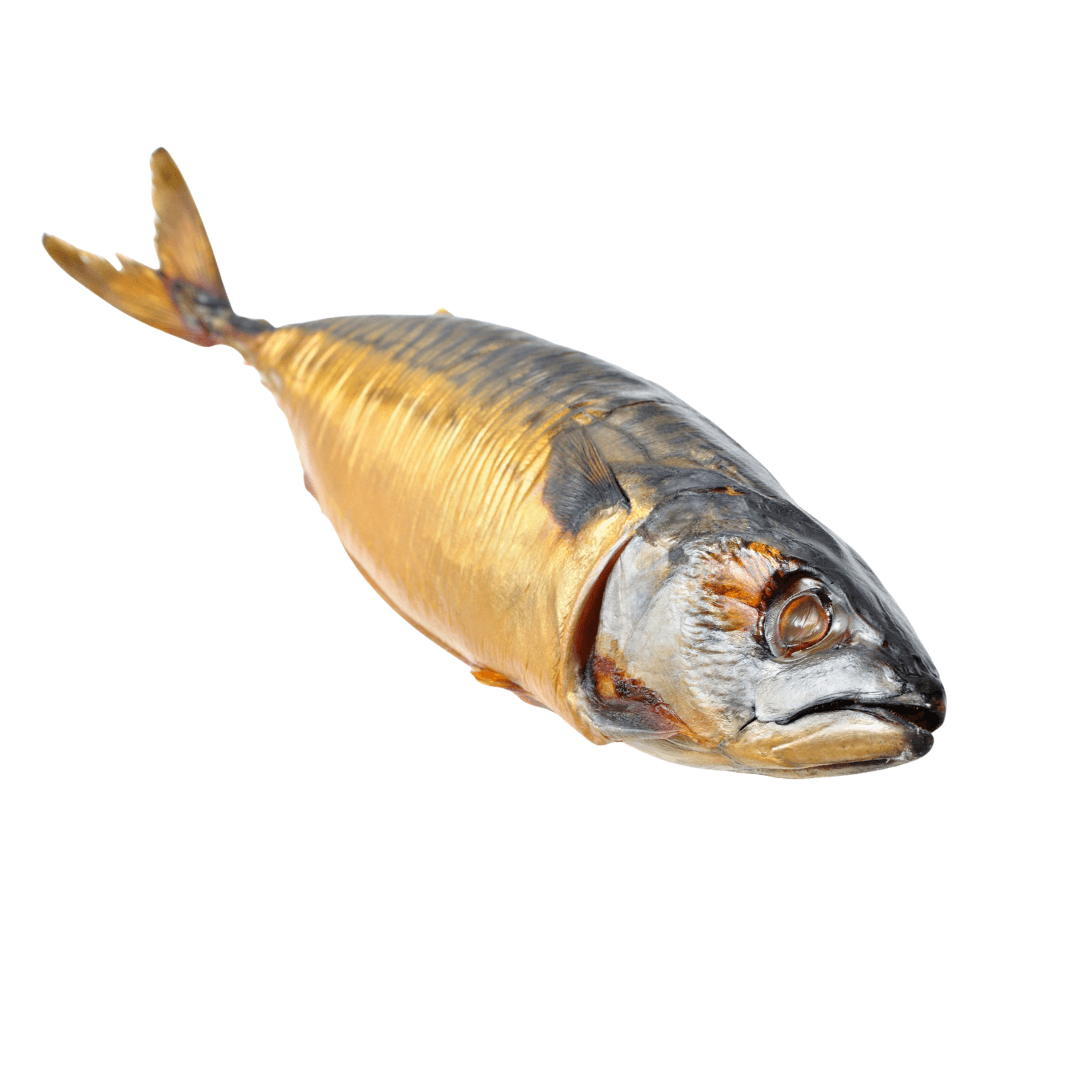 Poissons frais